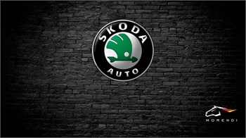 Skoda Kamiq 1.0 TSI (115 л.с.) 7760 - фото 16666