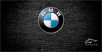 BMW Series 6 E63 M6 - 5.0 V10 (507 л.с.) morendi-6214 - фото 9813