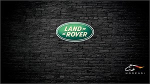 Land Rover Discovery 2.0 TD4 (180 л.с.) morendi-4071